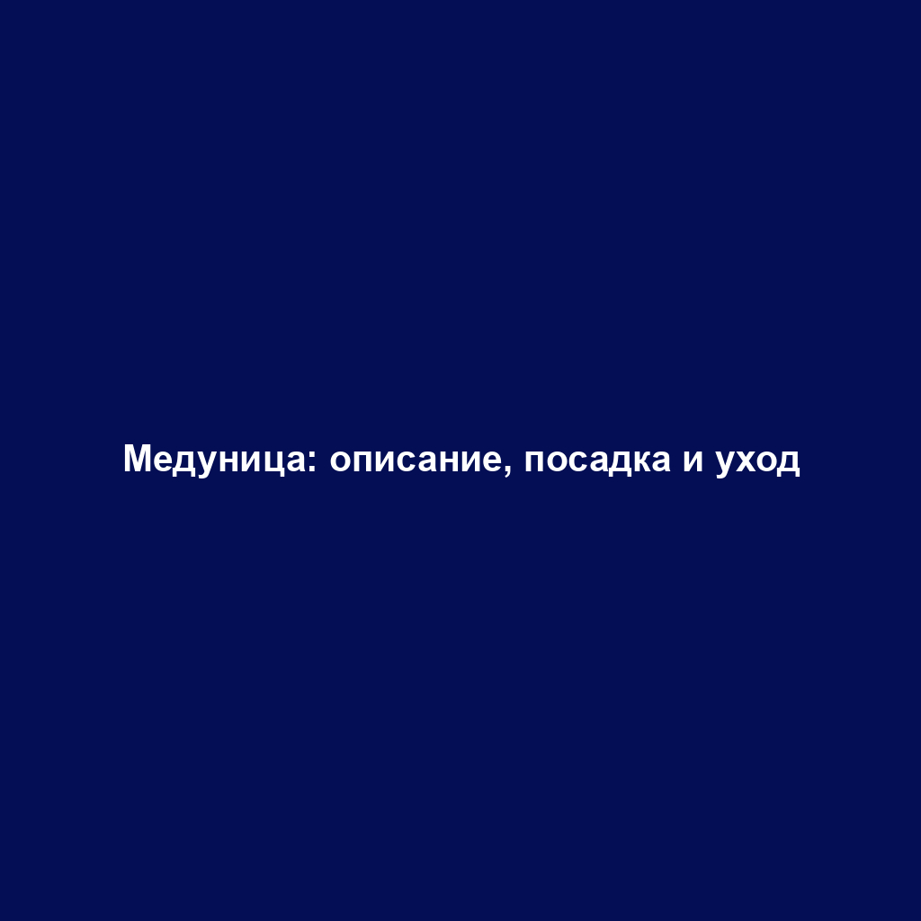 Медуница: описание, посадка и уход