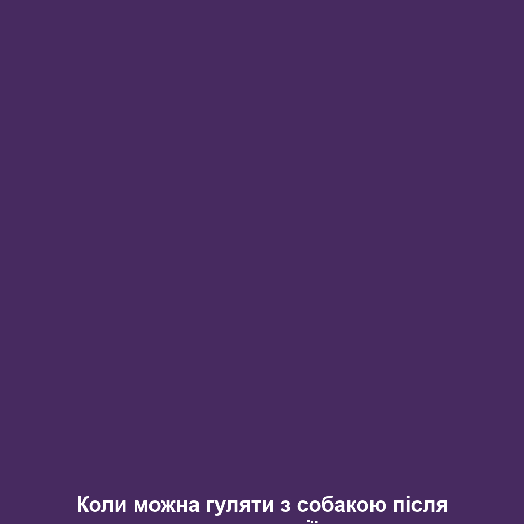 Коли можна гуляти з собакою після вакцинації