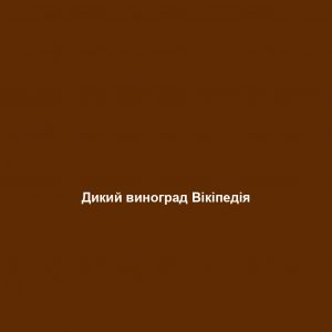 Скільки коштує фрі в Макдональдс