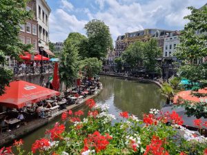 Налогообложение и миграционное право: чем поможет грамотный адвокат в Нидерландах