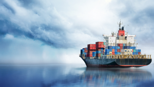 Профессия моряка: что делают моряки, в чем заключается работа и какие должности существуют